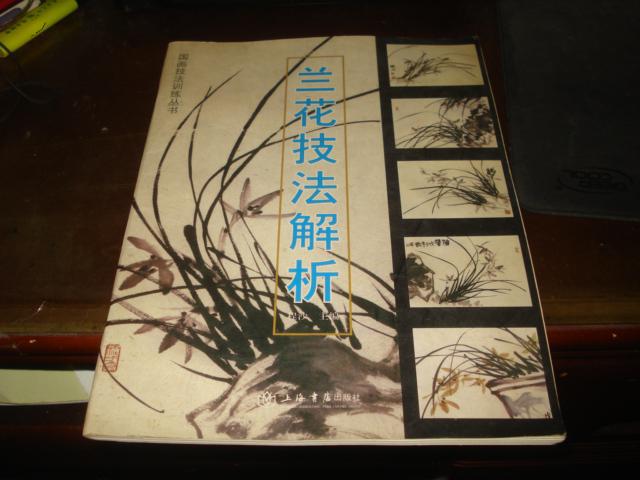 国画技法训练丛书 兰花技法解析 程沙主编