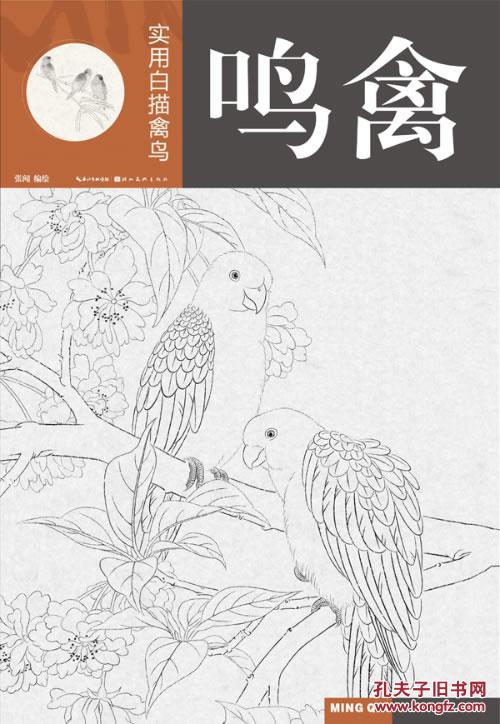 (正版送书签7232):实用白描禽鸟:鸣禽 张闻 9787539467412