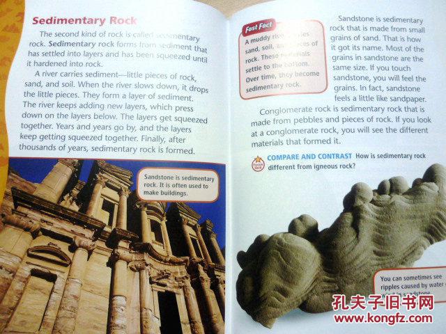 【图】英文原版 少儿口袋装小绘本 What Is Thi