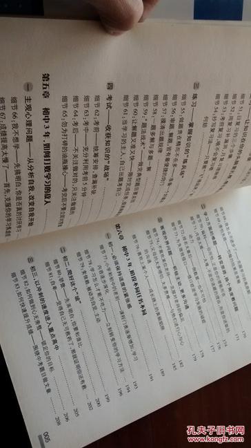 作文《年,原来可以这样过》怎么写,有哪些过年