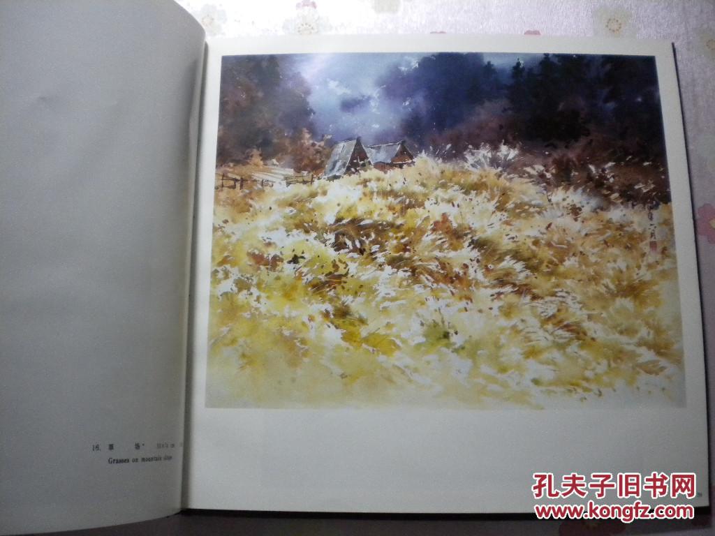 梁文亮水彩画集
