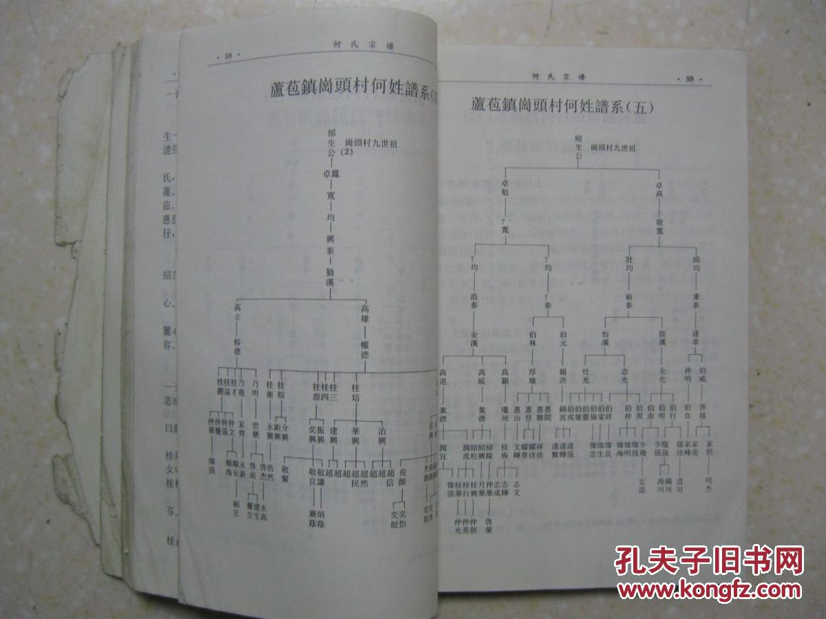 三水何氏宗谱(广东省佛山市三水区何氏族谱)