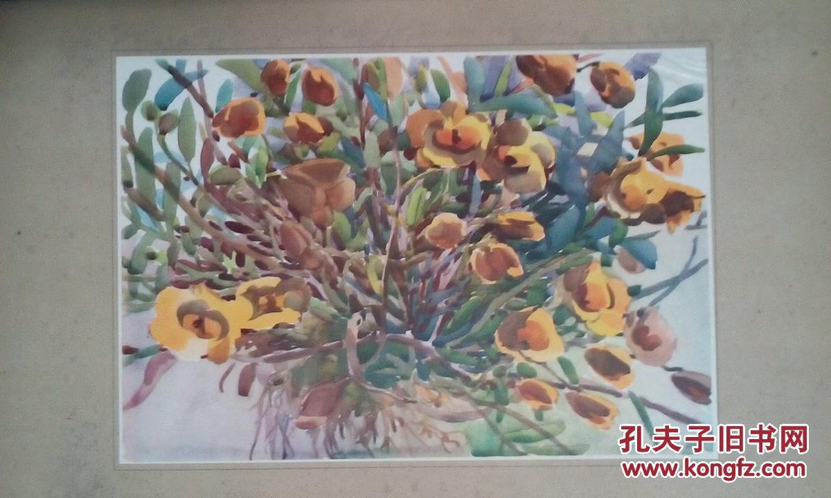 五六十年代大幅水彩画页—李有行《金义花i》
