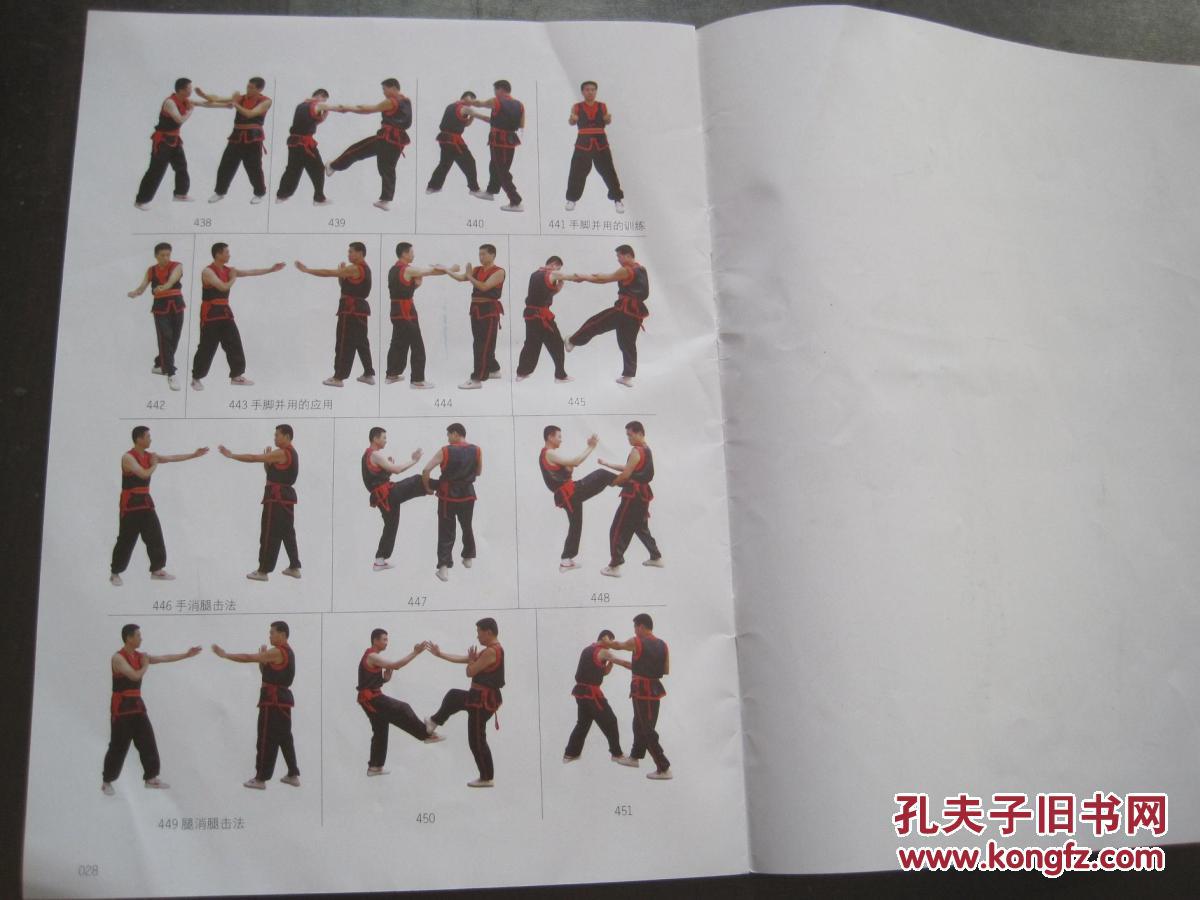 《咏春拳入门必读(挂图)》无盘