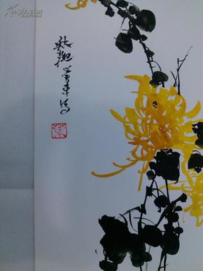 成都国画名家叶长生国画梅兰竹菊之菊花画片 卡纸画片国画原稿真迹