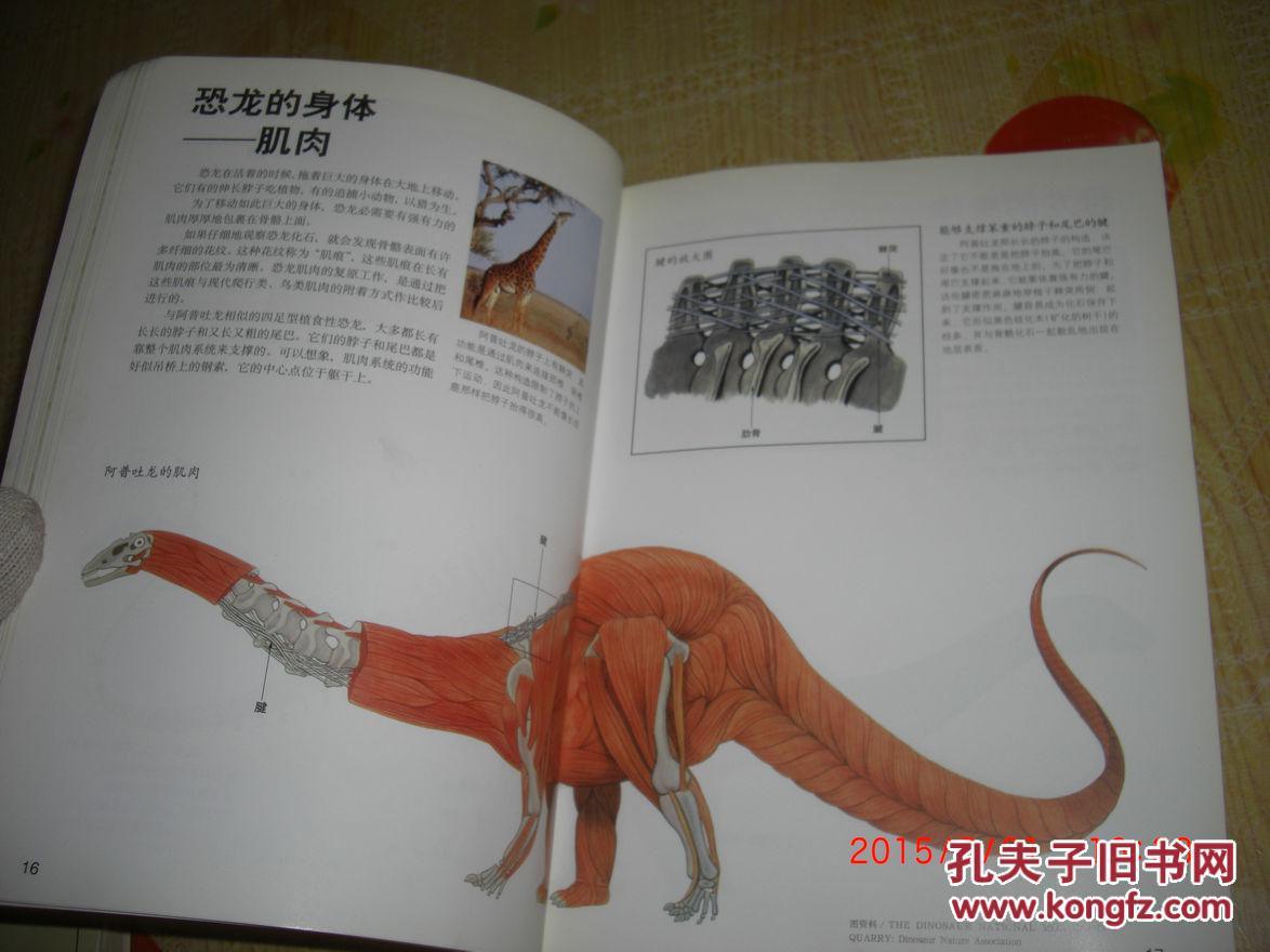 恐龙图鉴