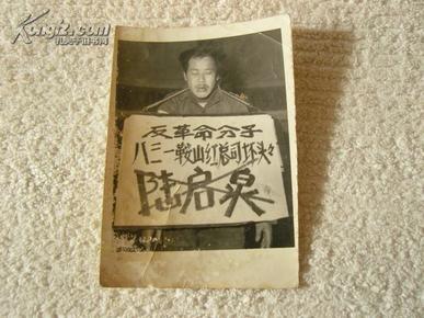 文革 反革命分子八三一鞍山红总司坏头头 陆启泉 老照片