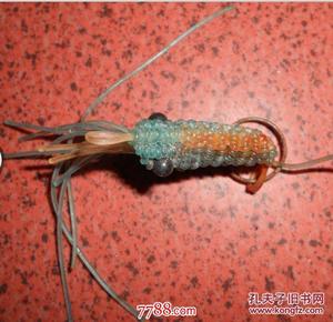 文革怀旧塑料绳手编大虾