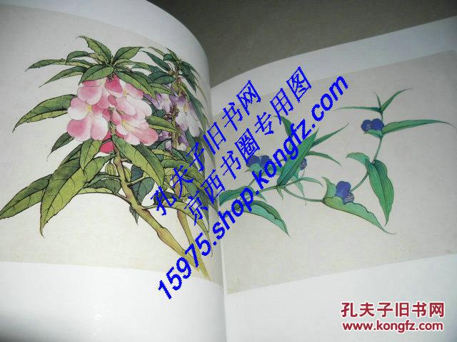 百花工笔画集