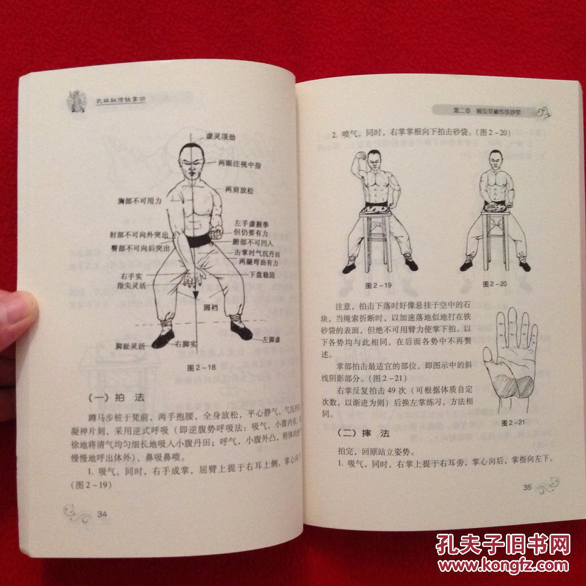 顾汝章秘传铁砂掌初中高级全套功法【正版原版·一版一印】