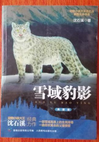雪域豹影