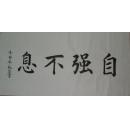 手书真迹书法:张蕊楷书《自强不息》