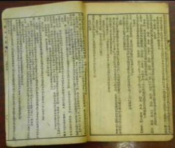 李亚峰润诺集团董事长