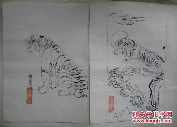 温鸿源老虎白描原稿13张(附《老虎画法》,温鸿源书信及请柬各一张)