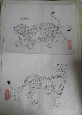温鸿源老虎白描原稿13张(附《老虎画法》,温鸿源书信及请柬各一张)