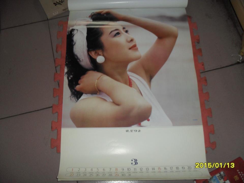 陈炜 庞燕 麻颖 纪海英 张琪 普超英 等)