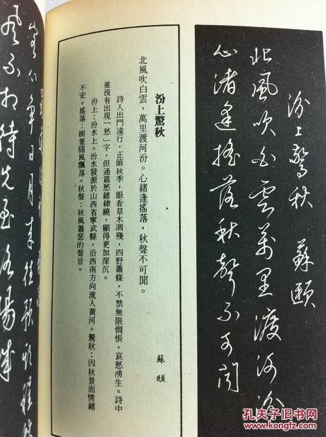 梁锦英钢笔字帖代表作,注释本)