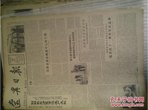 1962年新疆建设兵团的gdp(3)