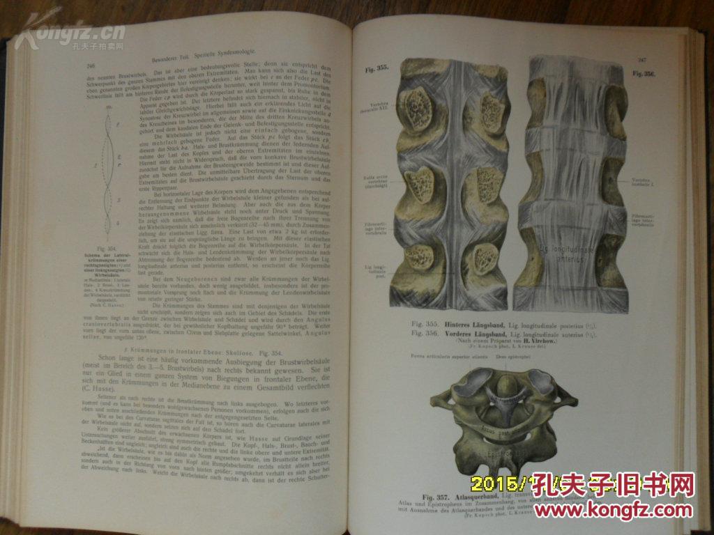 年德国原版 handatlas der anatomie des menschen 人体解剖图谱骨科