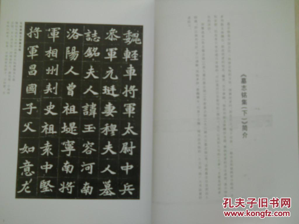 墓志铭集 下 《张玄墓志铭》《美人董氏墓志铭》《苏慈墓志铭》《太仆