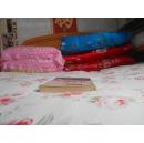 红色舰队:2010年中美海军大决战(我国第一部战