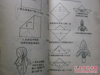 口布折花120款