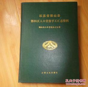 人口普查电子档怎么汇总_人口普查(3)
