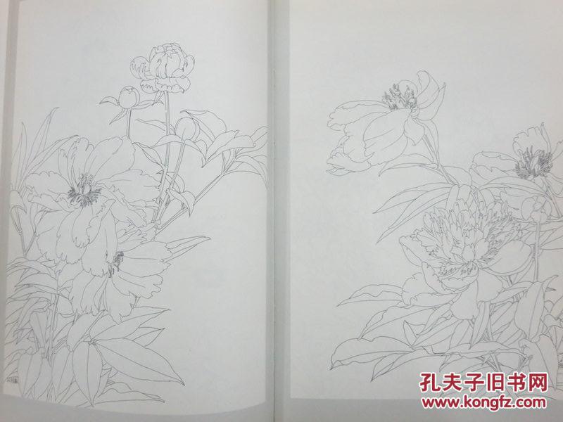 白描花卉-芍药