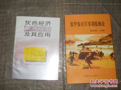 GDP灰色模型预测_中国gdp超过美国预测