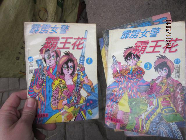 漫画:霹雳女警霸王花(1——5册全)