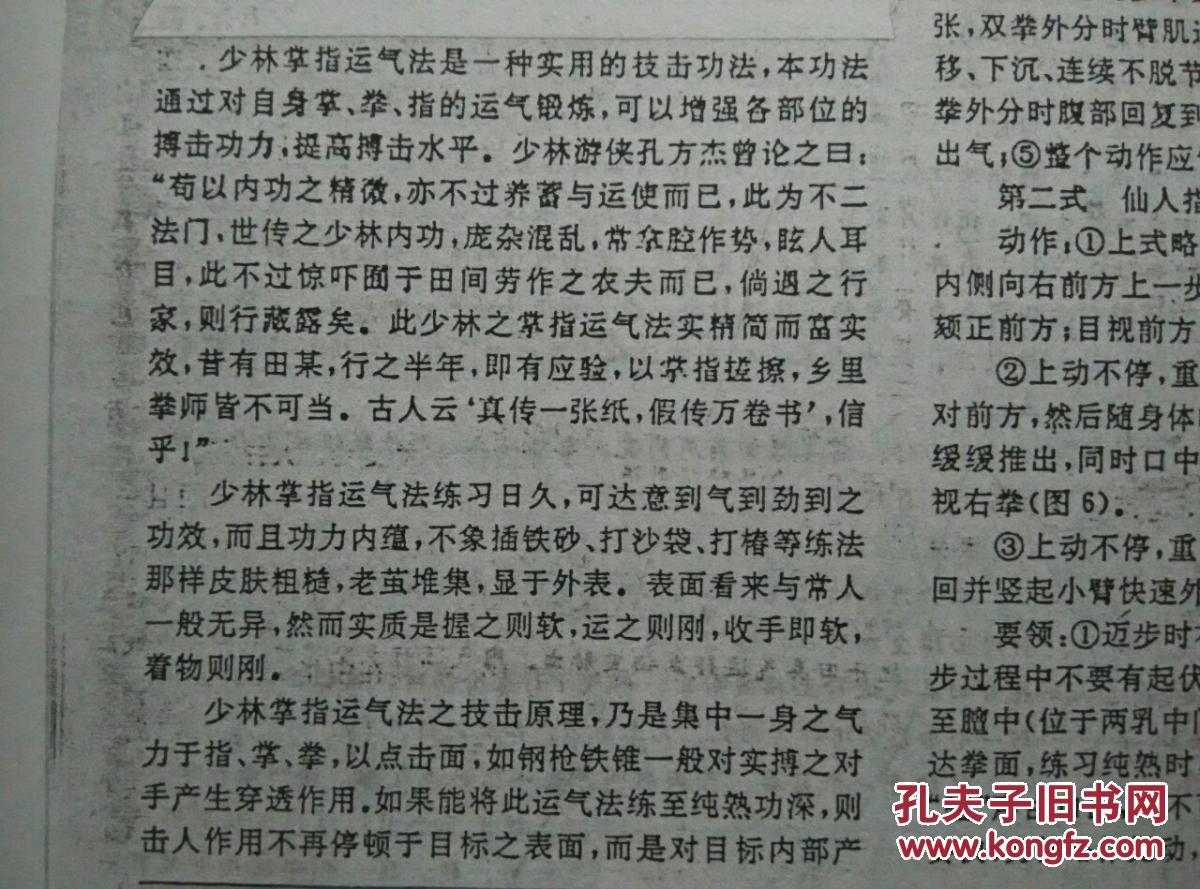 神功秘笈 少林铁指功的练法 少林掌指运气法 少林心意把 奇门内劲大力