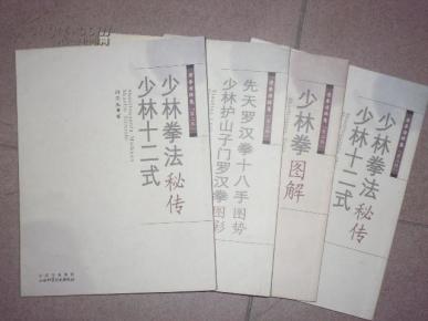 少林功夫曲谱_少林功夫图片(3)