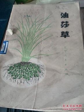 油莎草