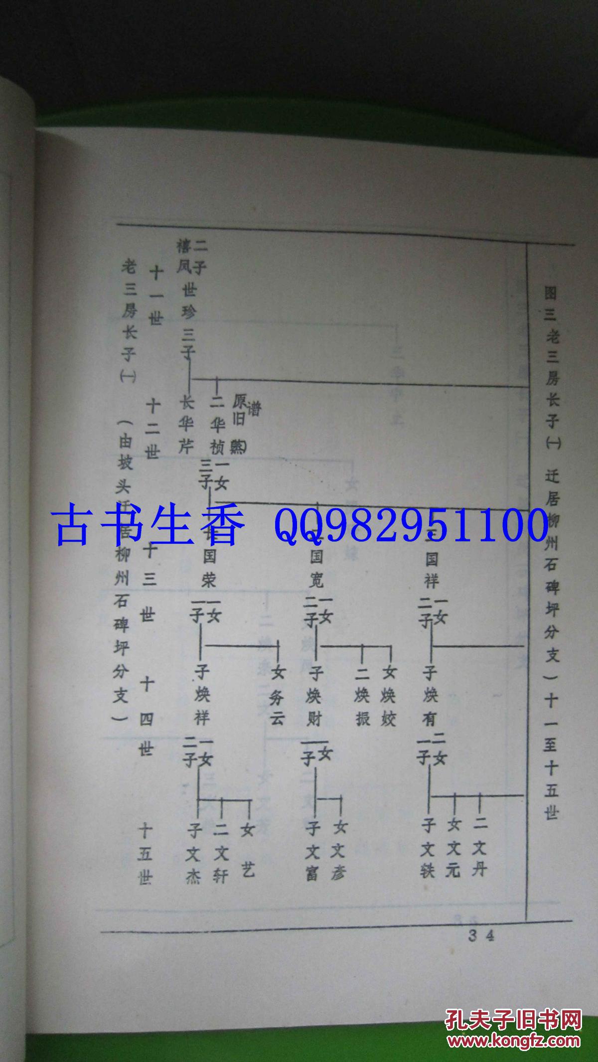 油印族谱: 广西容县六福威武郡 廖氏族谱 (一),(二)
