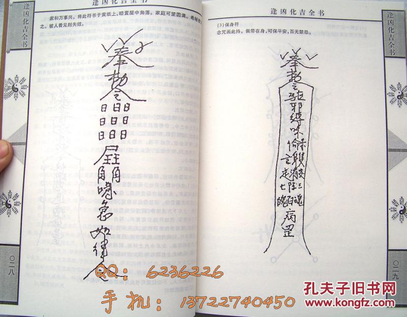 《逢凶化吉全书》 邵伟华著 灾难破解灾破译全书 道佛教符咒安神(图12