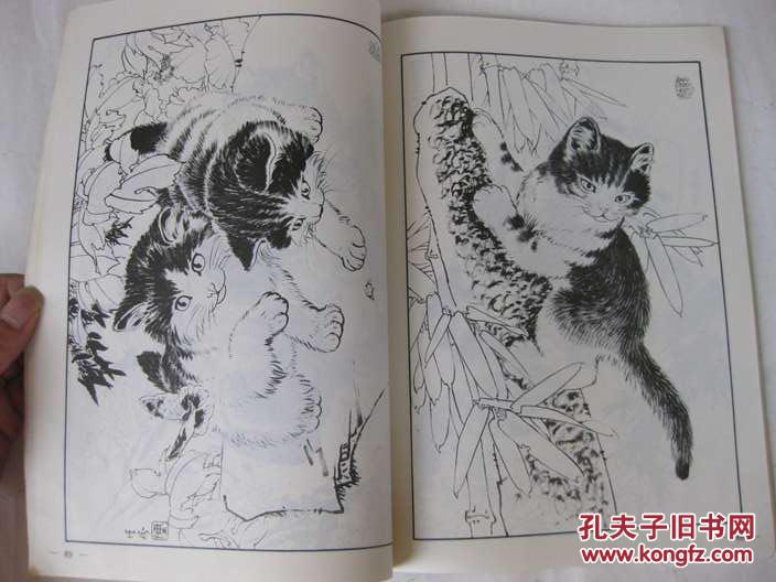 百猫谱 