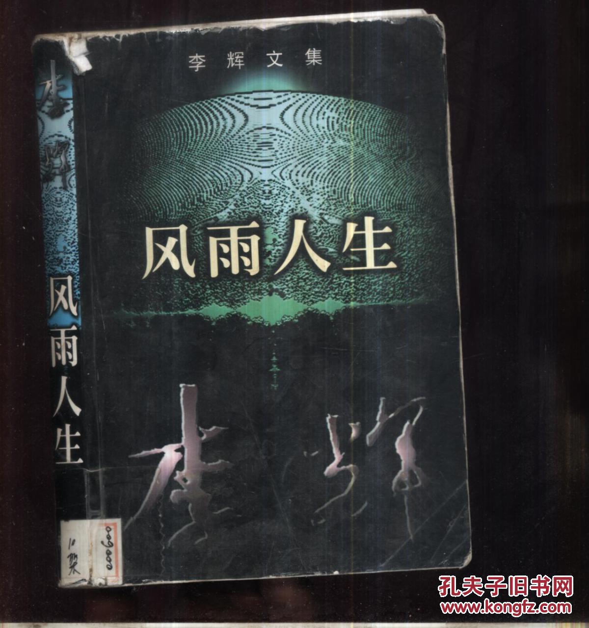 风雨人生