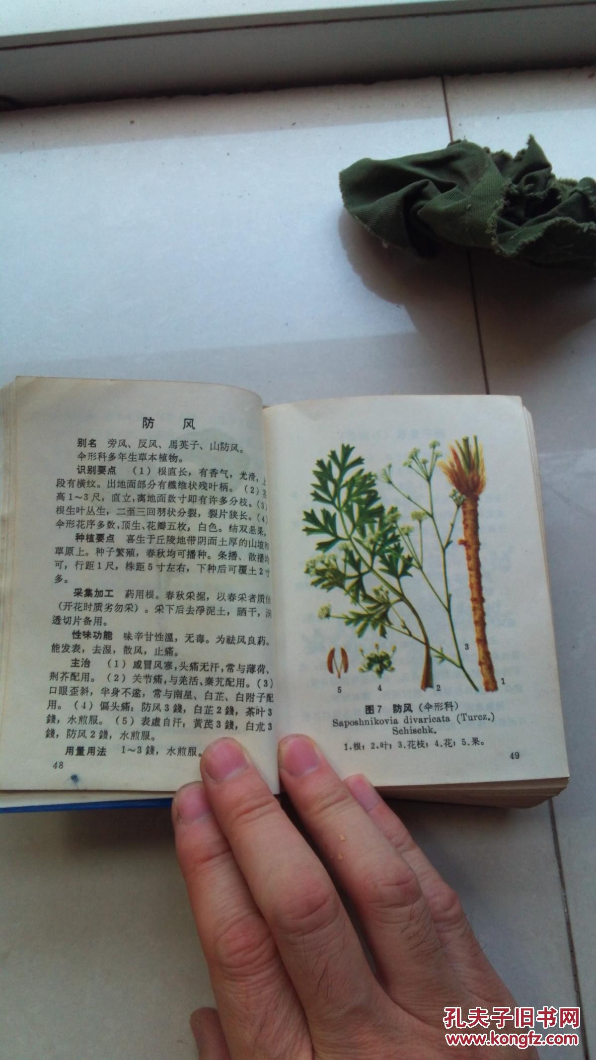 北方常用中草药手册