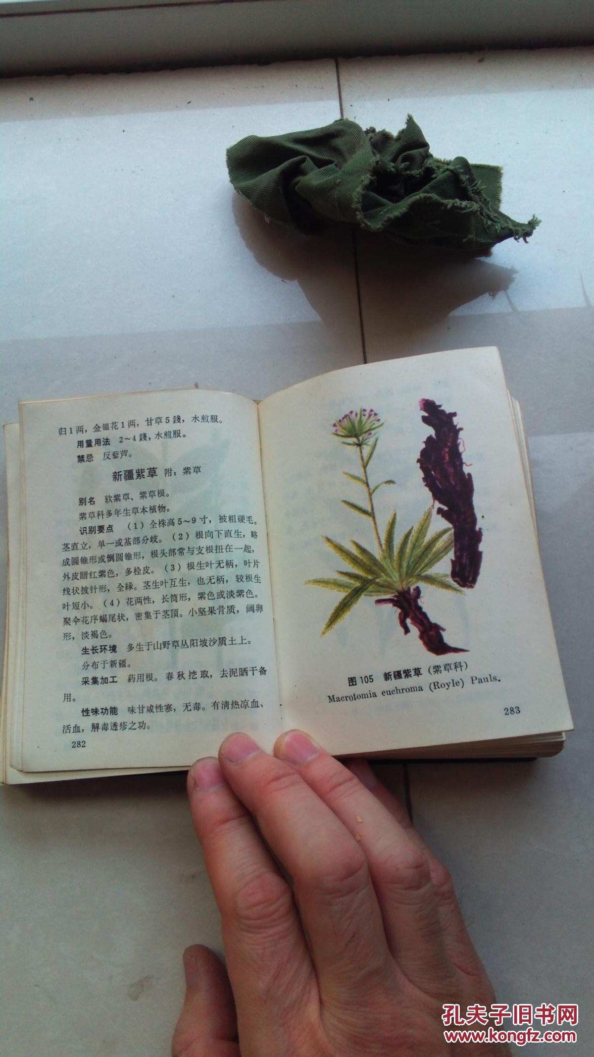 北方常用中草药手册