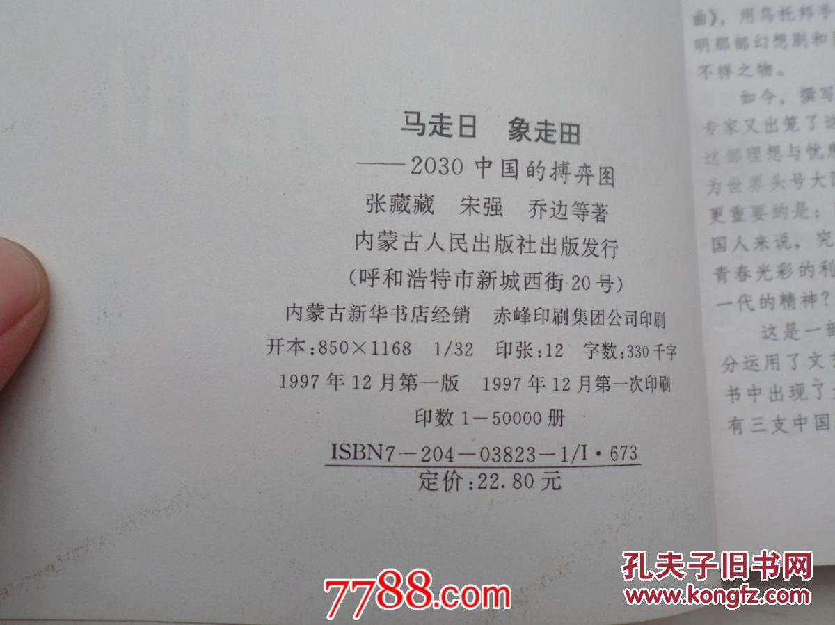 马走日 象走田:2030中国的搏弈图