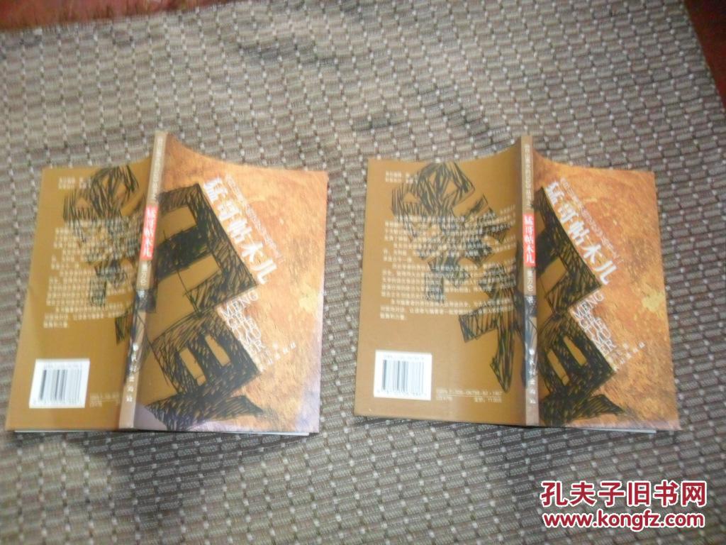 白山黑水的记忆 丛书之一:猛哥帖木儿