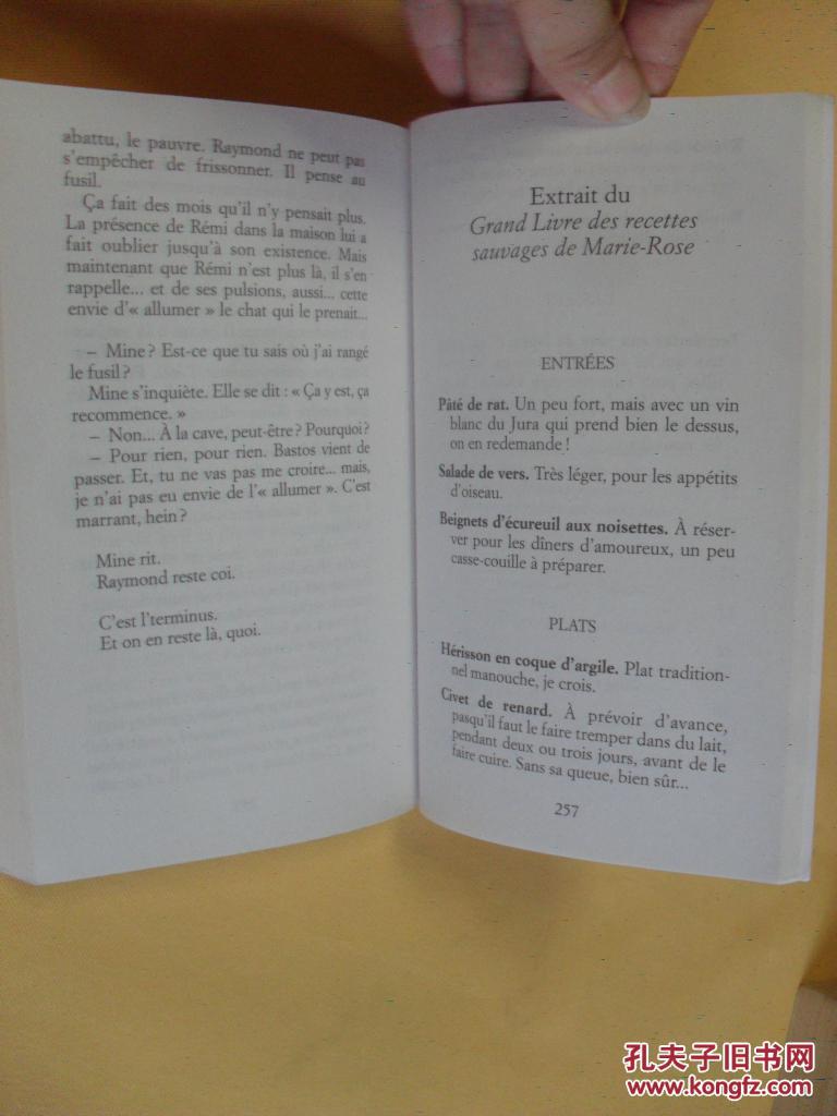 法文原版 allumer le chat.barbara constantine