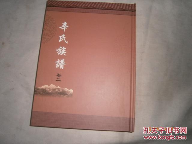 辛氏族谱 卷二 正版未阅 ae5714