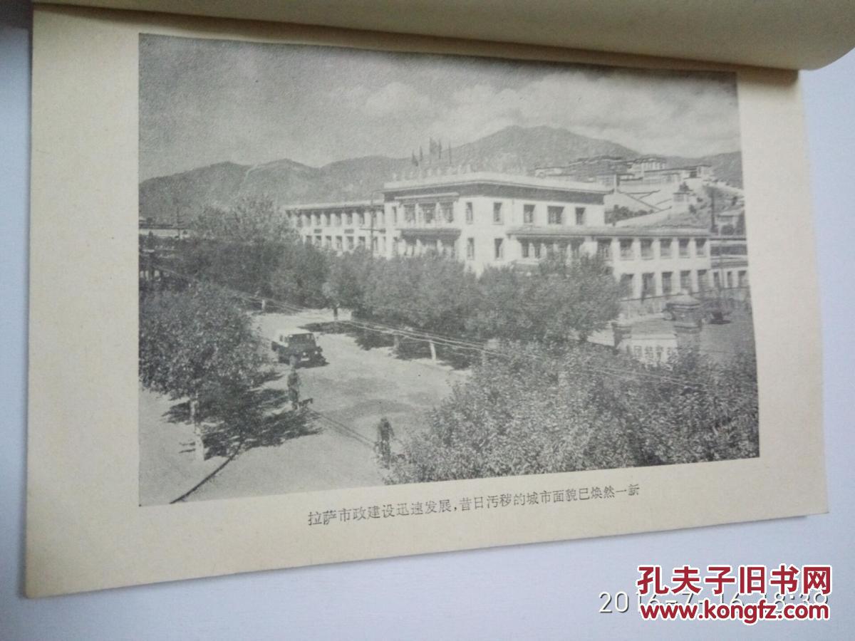 翻身农奴简谱_西藏农奴翻身图片(3)