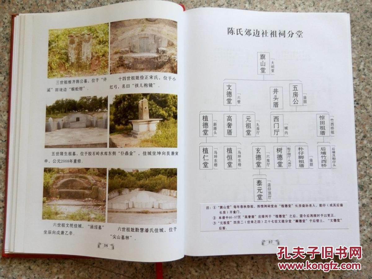 俊美之郊边陈氏族谱