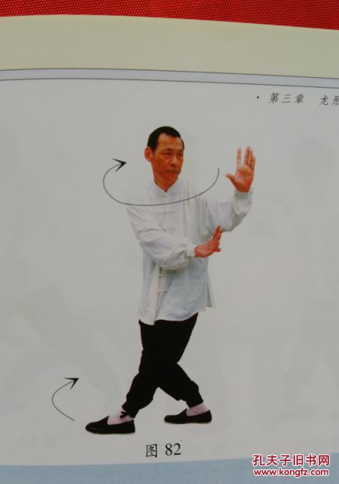 龙形八卦掌图解(正版形意太极内家拳精典.彩色真人图像演式)