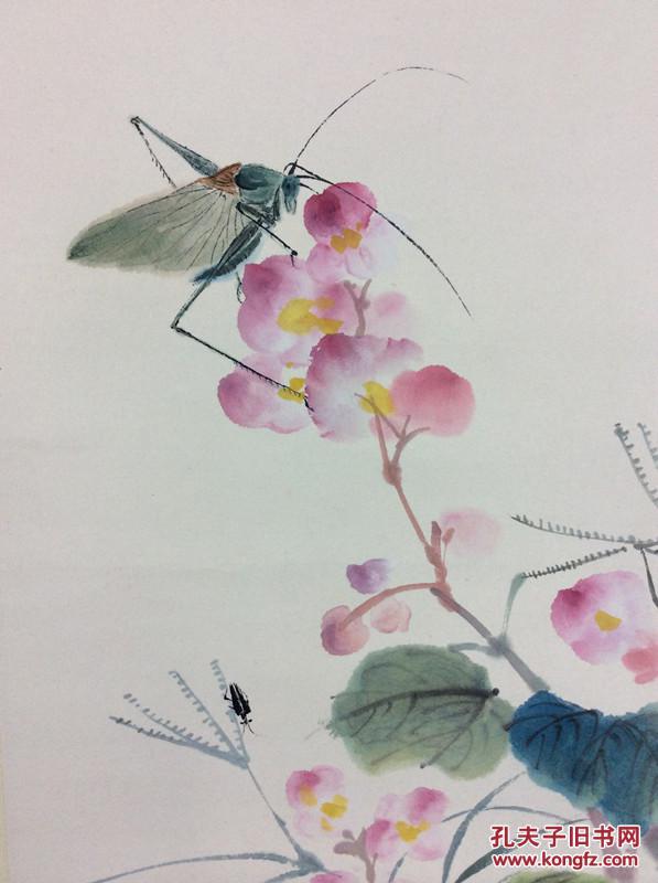 海派画家江寒汀花鸟草虫国画真迹