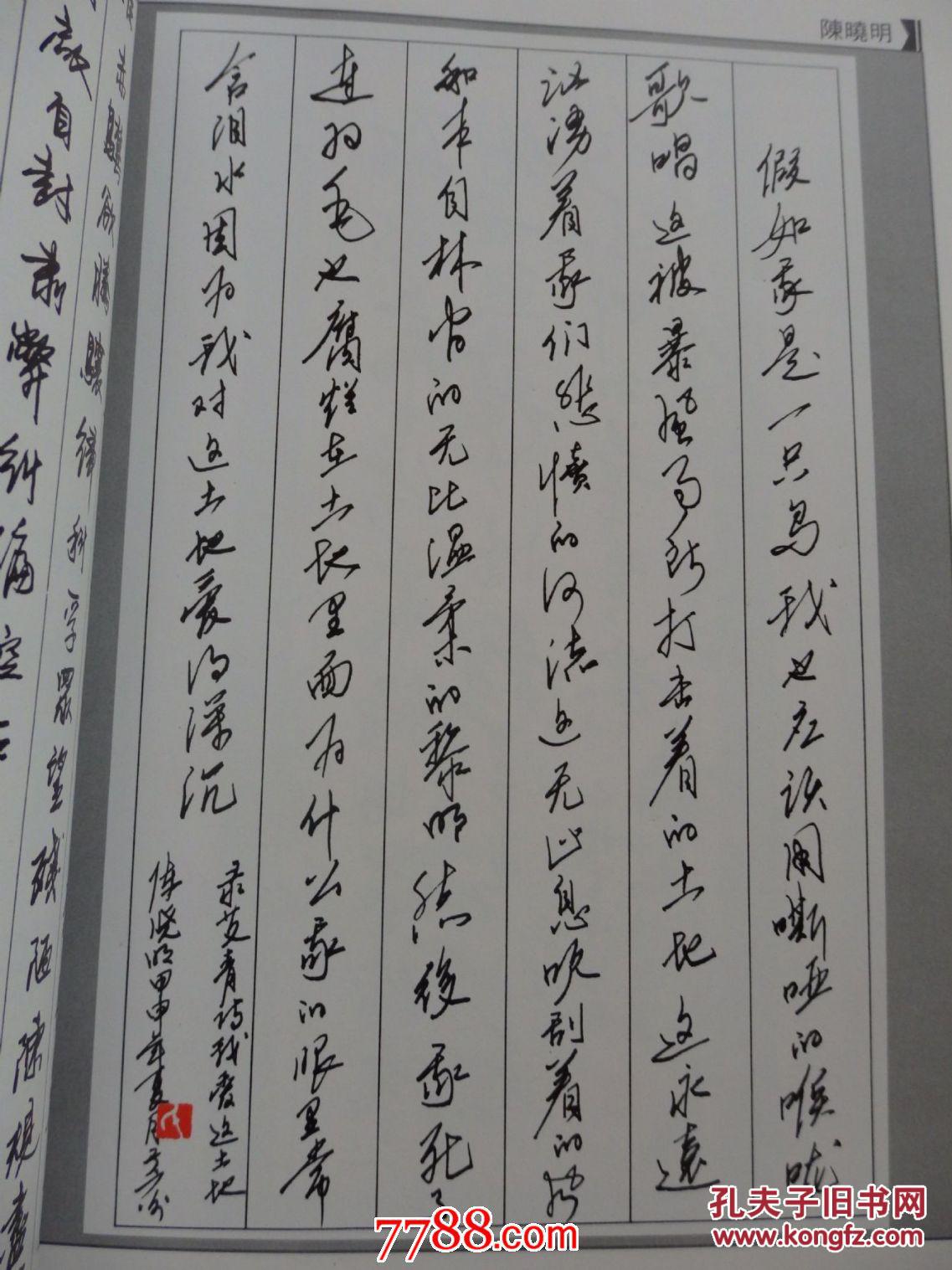 首届国际硬笔书法名家邀请展作品集