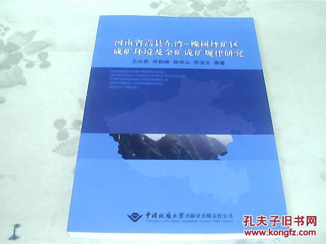 河南省嵩县东湾-槐树坪矿区成矿环境及金矿规