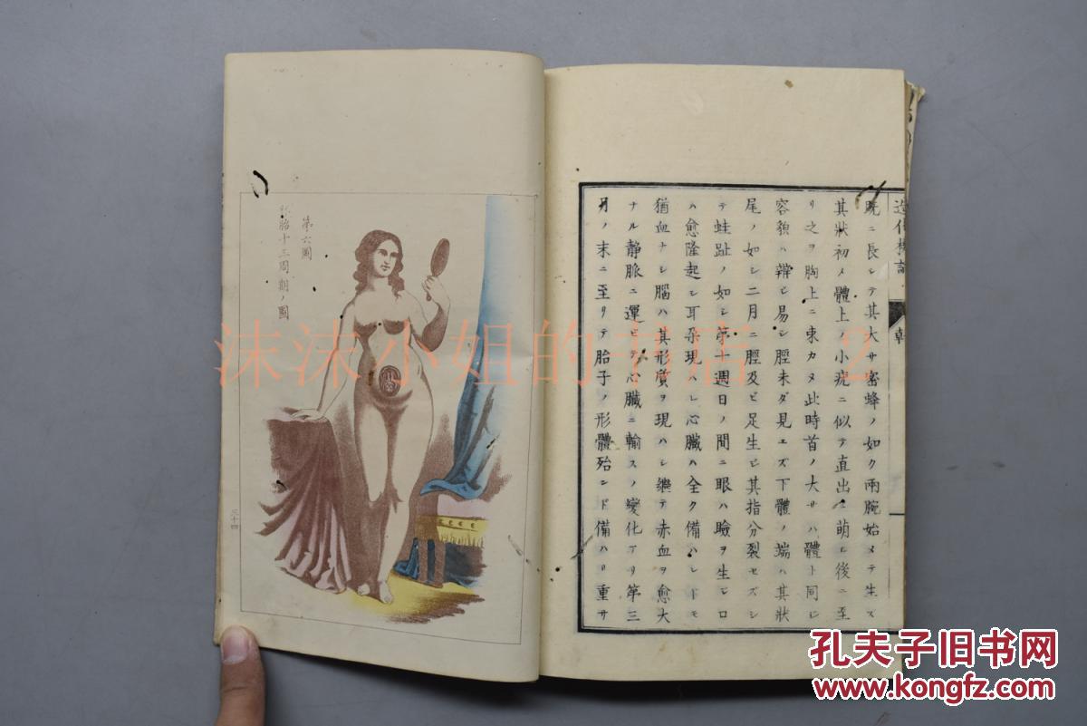 木刻《造化机论》 和刻本线装乾坤两册全 西方医学引入日本 性教育